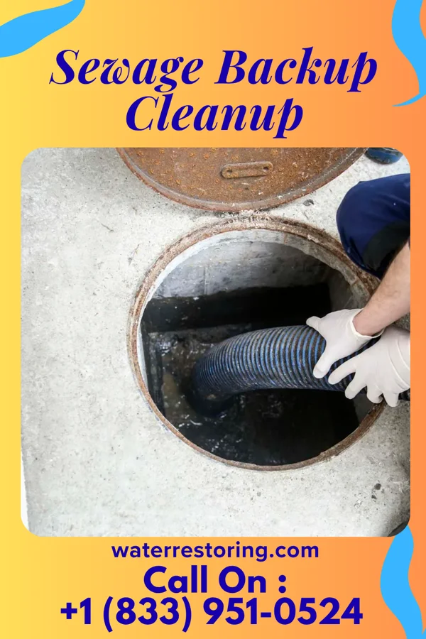 Sewage Backup Cleanup in Wheeling, IL